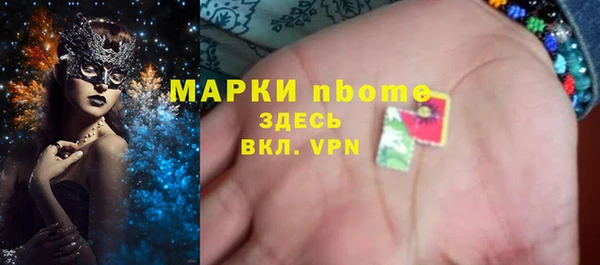 ПСИЛОЦИБИНОВЫЕ ГРИБЫ Арсеньев