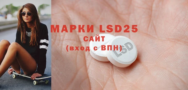 ПСИЛОЦИБИНОВЫЕ ГРИБЫ Арсеньев