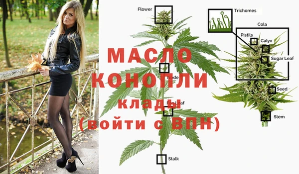 ПСИЛОЦИБИНОВЫЕ ГРИБЫ Арсеньев