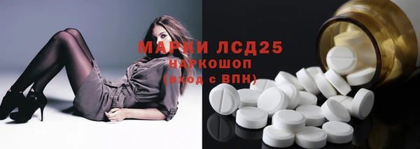 ПСИЛОЦИБИНОВЫЕ ГРИБЫ Арсеньев