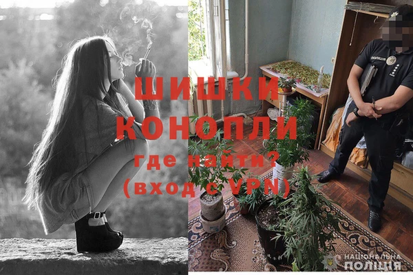 ПСИЛОЦИБИНОВЫЕ ГРИБЫ Арсеньев