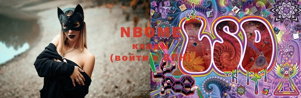 ПСИЛОЦИБИНОВЫЕ ГРИБЫ Арсеньев