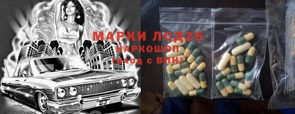 ПСИЛОЦИБИНОВЫЕ ГРИБЫ Арсеньев