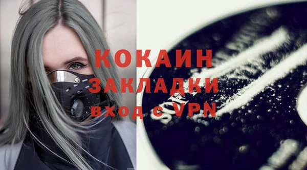 ПСИЛОЦИБИНОВЫЕ ГРИБЫ Арсеньев