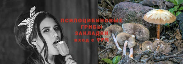 ПСИЛОЦИБИНОВЫЕ ГРИБЫ Арсеньев