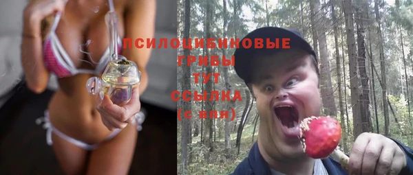метадон Армянск